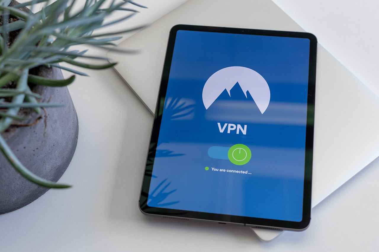 VPN Kullanımı